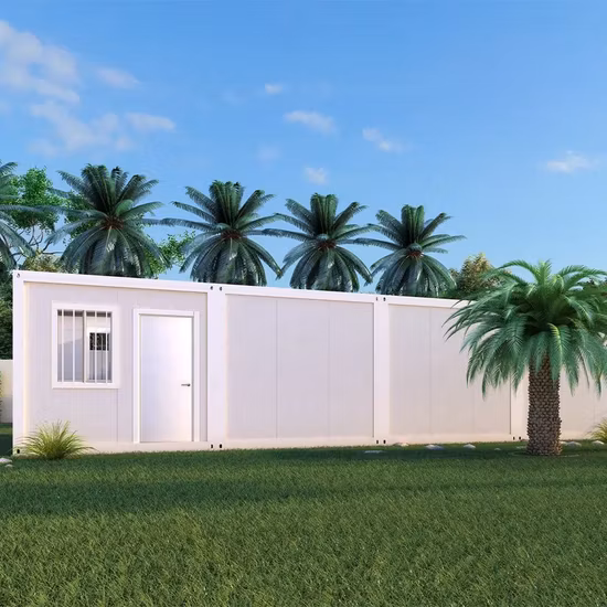 Custom 20FT Flat Pack Container House with Bathroom for Sale