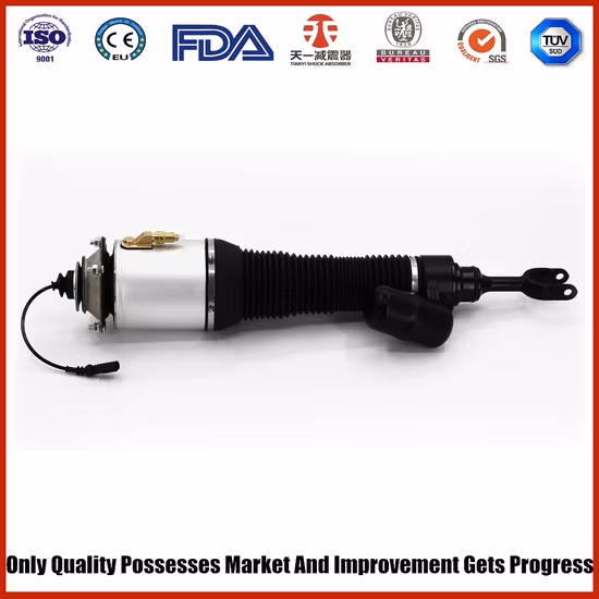 3D0 616 040t Air Shocks for Volkswagen Phaeton Bentley Continental Right Front